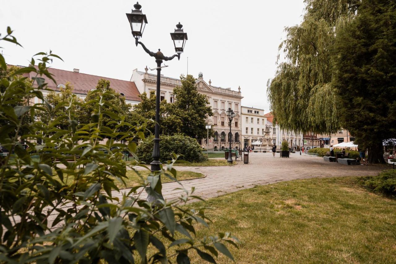 Cathedral Apartment Szczecin Exterior foto